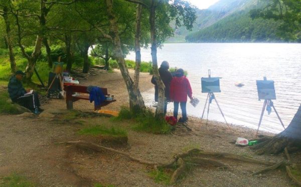 2016-opw_glendalough-2
