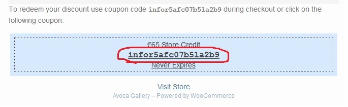screen shot: sample voucher code